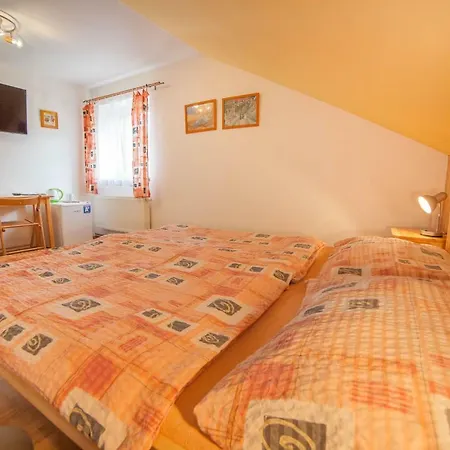 Na Rozcesti Guest house Janov nad Nisou